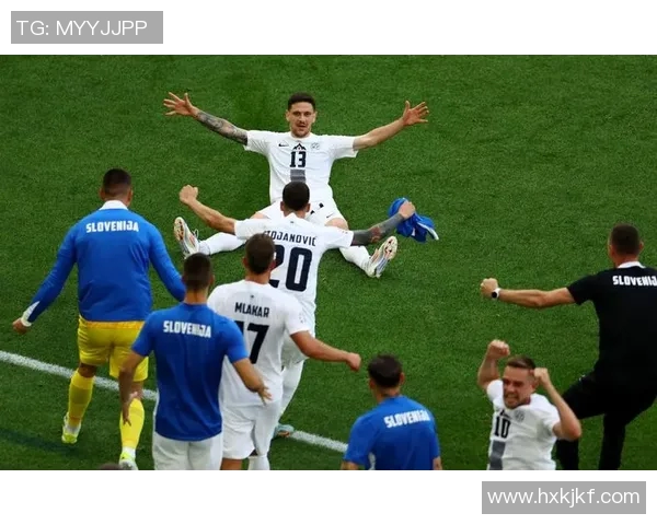 欧洲杯：斯洛文尼亚队黯然告别欧洲杯