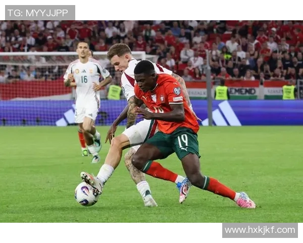 匈牙利队确定欧洲杯23人名单，多斯萨兄弟闪耀入选