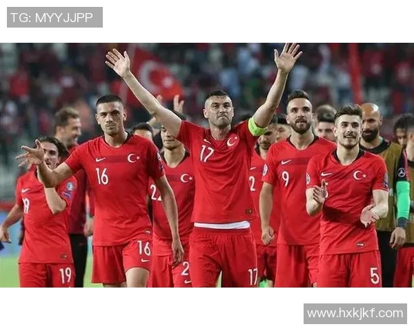 受疫情影响，欧洲杯赛事规模缩减——足球狂欢的别样回归