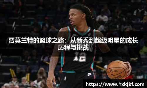 三亿体育手机最新版本